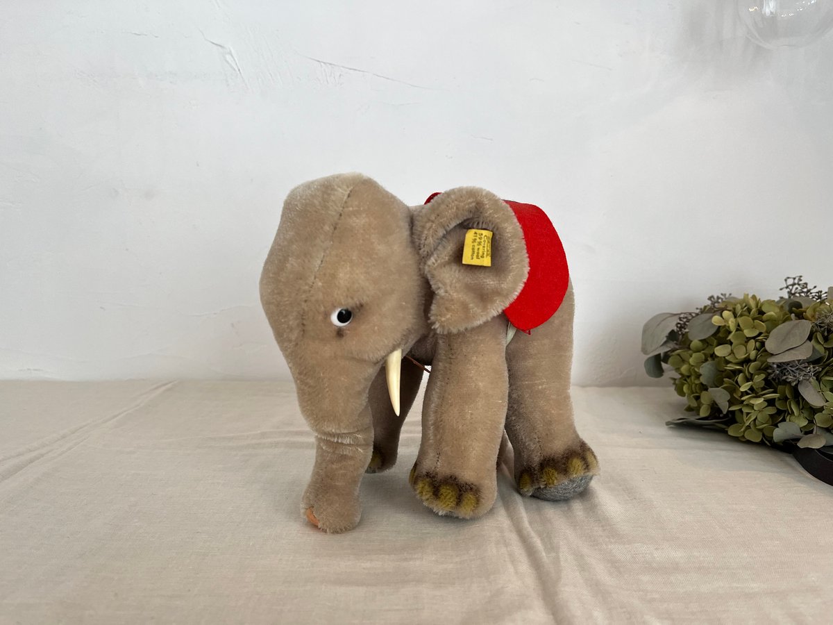 fit=scale-down,w=1200