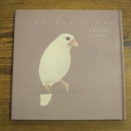 「小鳥ならば」