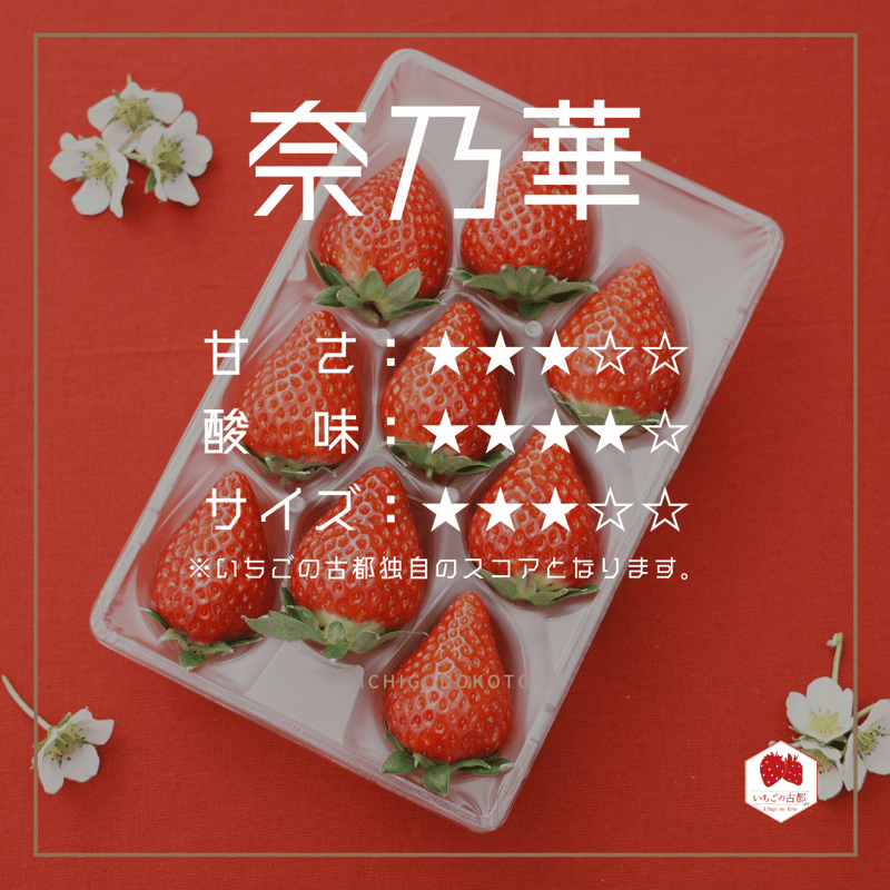 奈良県産　古都華いちご10パック　※新着発送 定期便 先行予約 数量限定 古都華 【1・2・3月発送3ヶ月定期便】奈良県