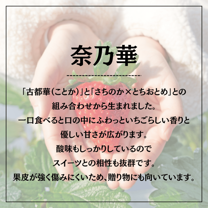 奈乃華（なのか）- 4パック | いちごの古都│奈良県産の高級