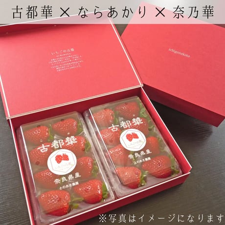 【ギフトボックス2箱】奈良県産いちごセット（古都華2パック・ならあかり1パック・奈乃華1パック）