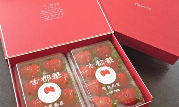 奈良県産　古都華10パック　※新着発送 楽天市場】イチゴ古都華の通販