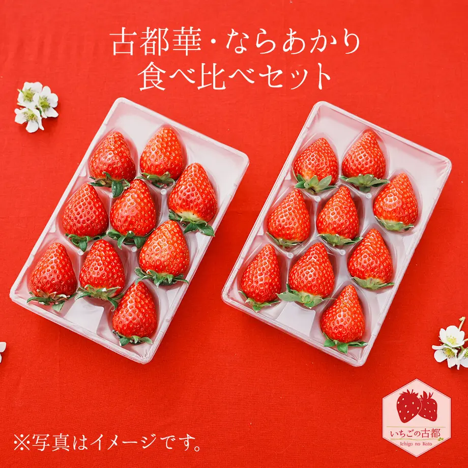 6413d78a117e110042ede765