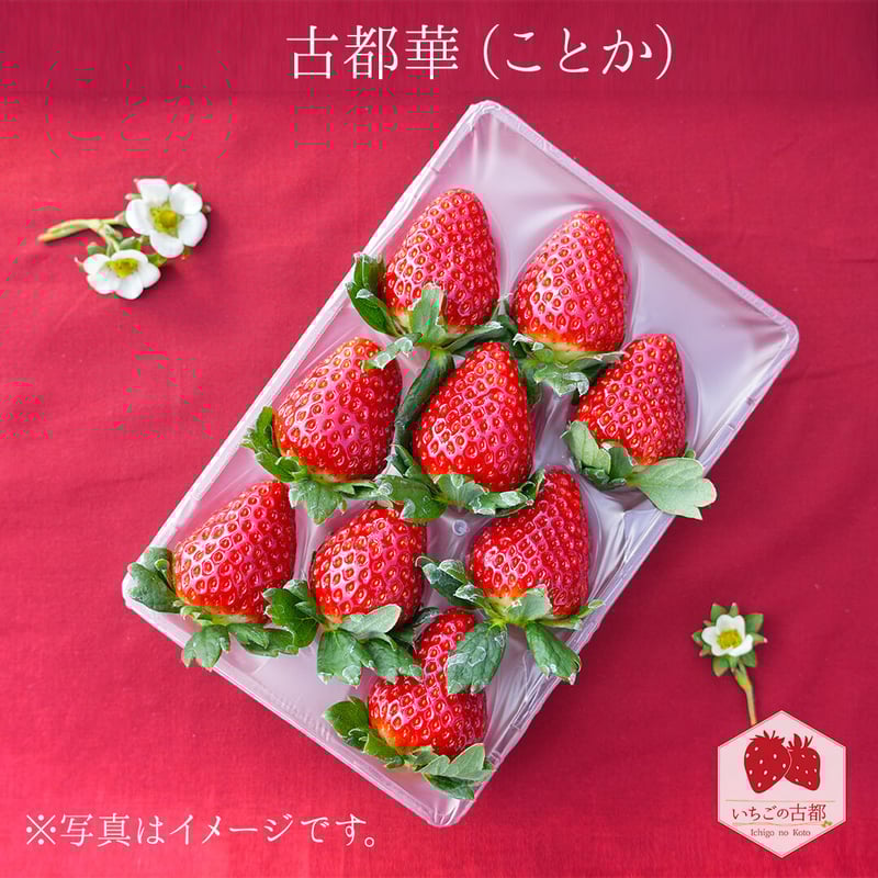 古都華(ことか)- 4パック | いちごの古都│奈良県産の高級 古都華(ことか)- 4パック | いちごの古都│奈良県産の高級