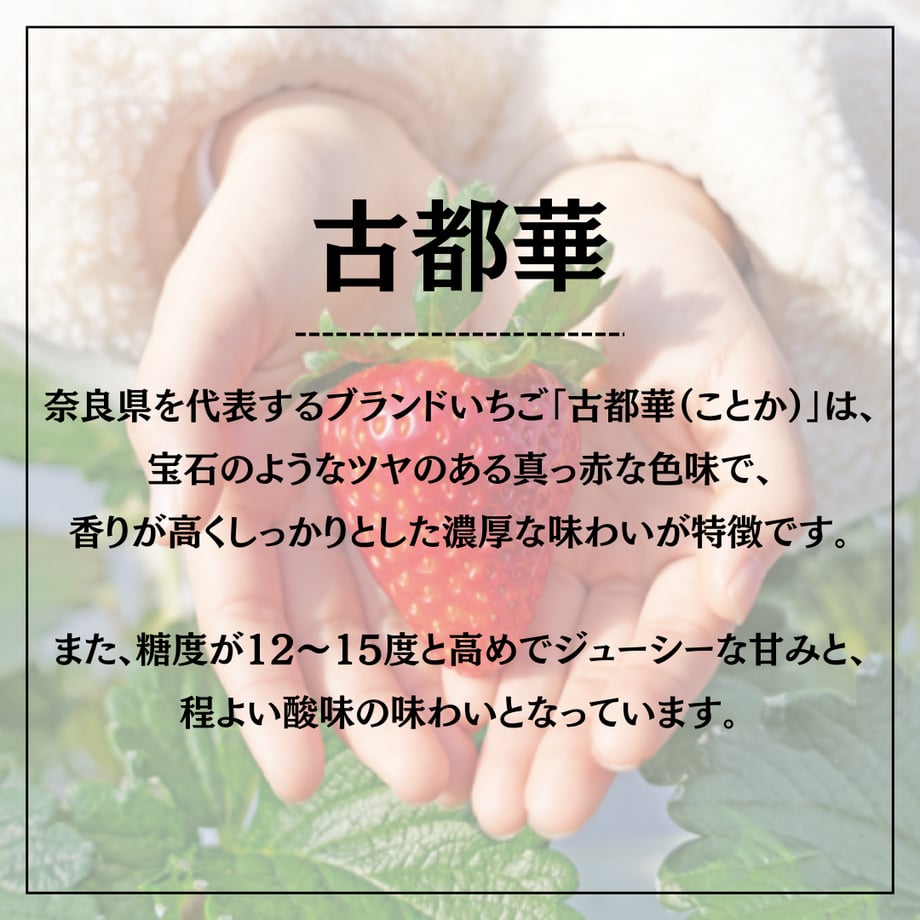 6413f8dfcb3849003f3e6126