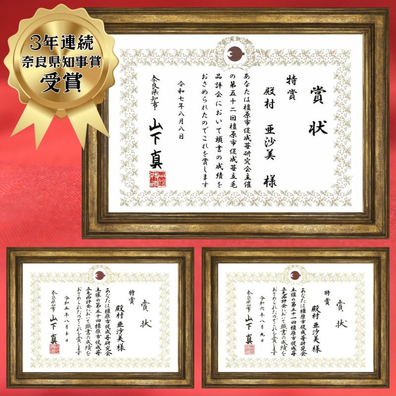 古都華（ことか）- 2パック（20粒入り×2パック） | いちごの古都
