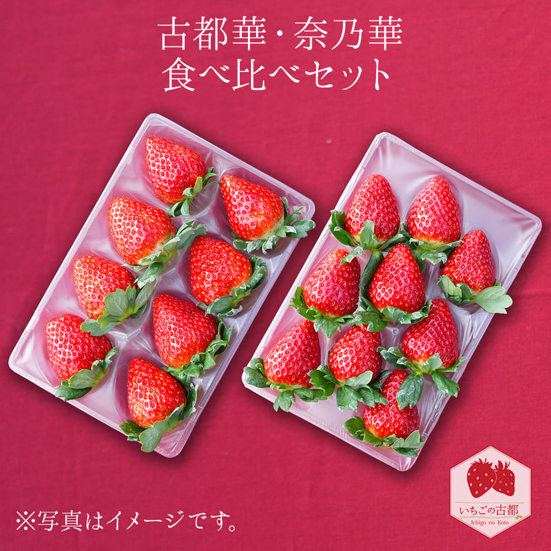 専用　いちごセット 066d12c60a25f8dc1259125c0cca87