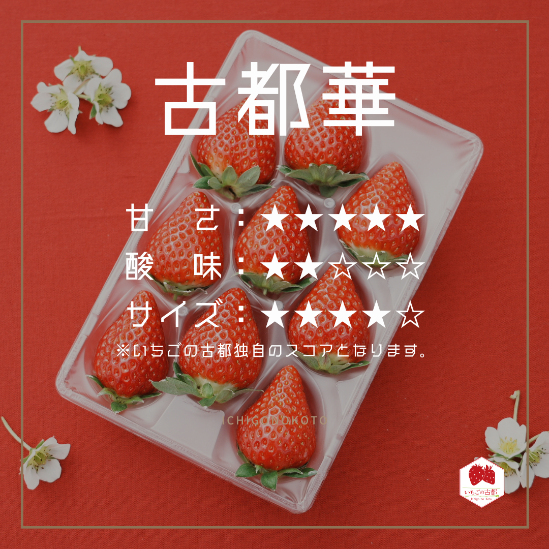 ギフトボックス4箱】古都華（ことか）- 8パック | いちごの古都│奈良