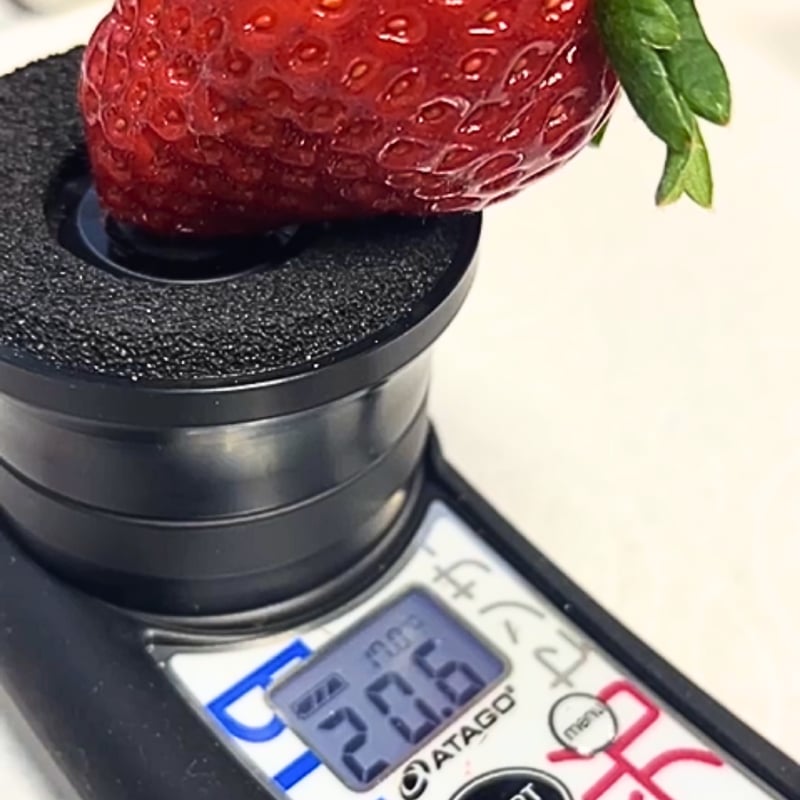 ギフトボックス】古都華(ことか)- 2パック | いちごの古都 ギフトボックス】古都華(ことか)- 2パック | いちごの古都
