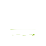 いちごの古都│奈良県産の高級いちご「古都華」の通販サイト