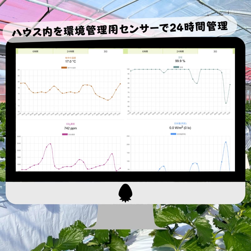 いちご 1&2 古都華＆淡雪 2P入り - 奈良いちごラボ 高級いちご通販 公式