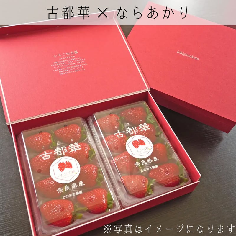 Baccarat ギフトボックス 赤 小型 Baccarat（バカラ）／バカラ 通販