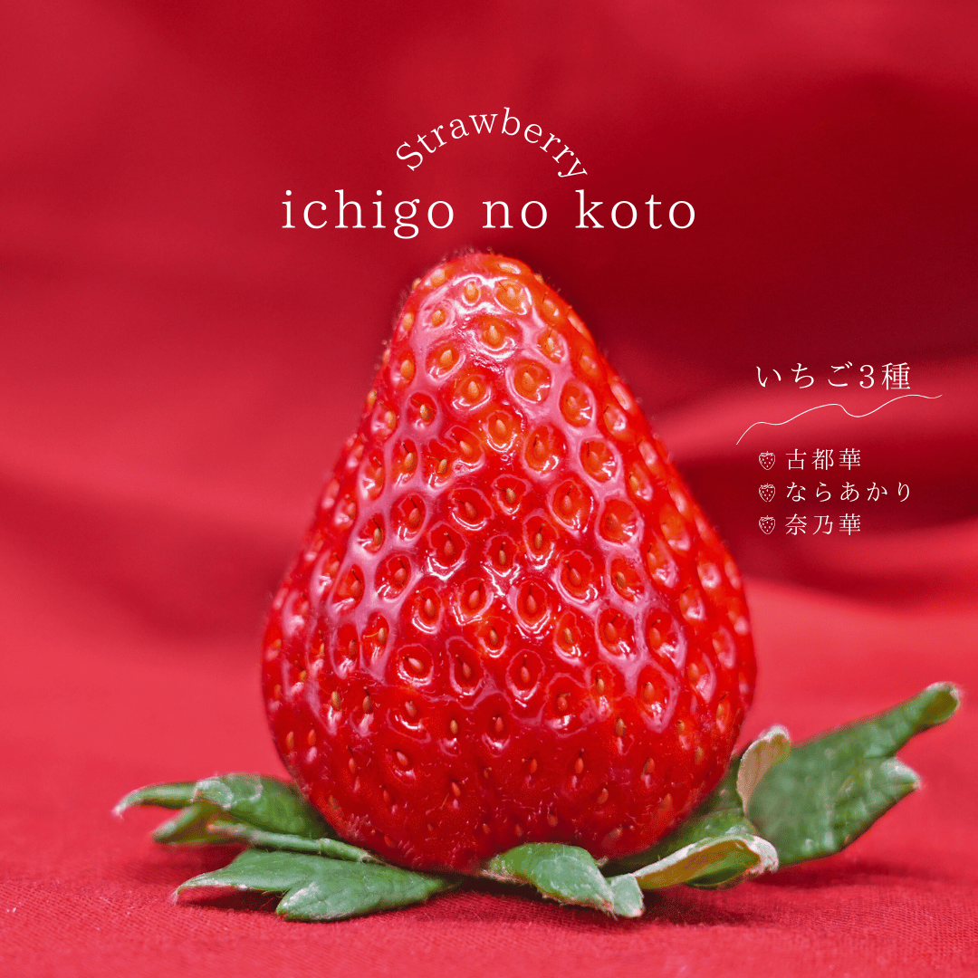 まゆみーん様限定。農家直送古都華　大粒2パック、20粒2パック fit=scale-down,w=1200