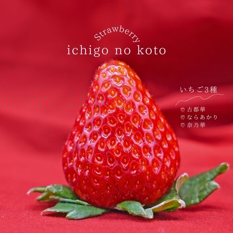 奈良県産いちごセット（古都華2パック・ならあかり1パック・奈乃華1