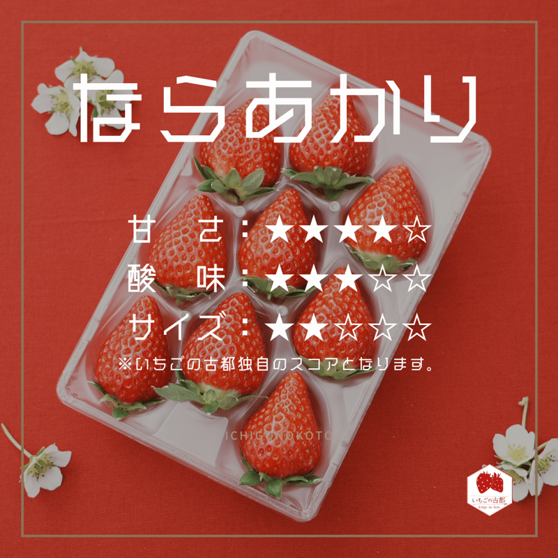 ギフトボックス2箱】奈良県産いちごセット（古都華2パック・なら