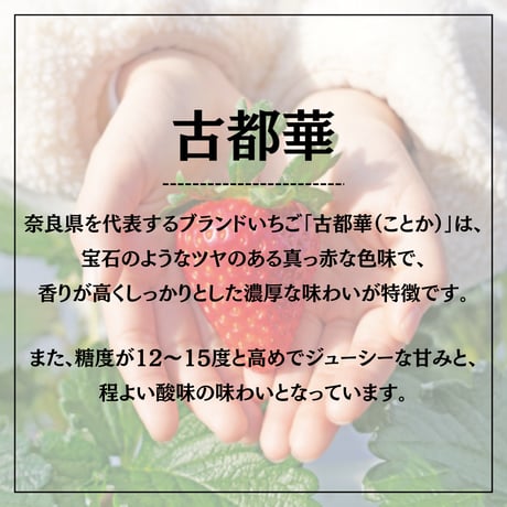 食べ比べセット【古都華（ことか）1パック・奈乃華1パック】