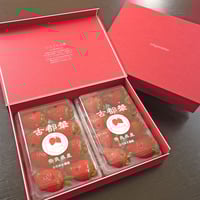 ギフトボックス4箱】古都華（ことか）- 8パック | いちごの古都