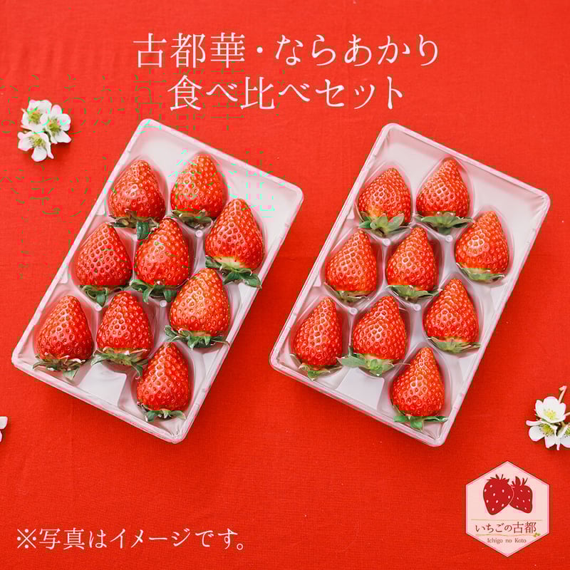 3kg 小粒　ならあかり 古都華　いちご 奈良県　苺　家庭用　加工用　イチゴ 食べ比べセット【古都華（ことか）2パック・ならあかり2パック