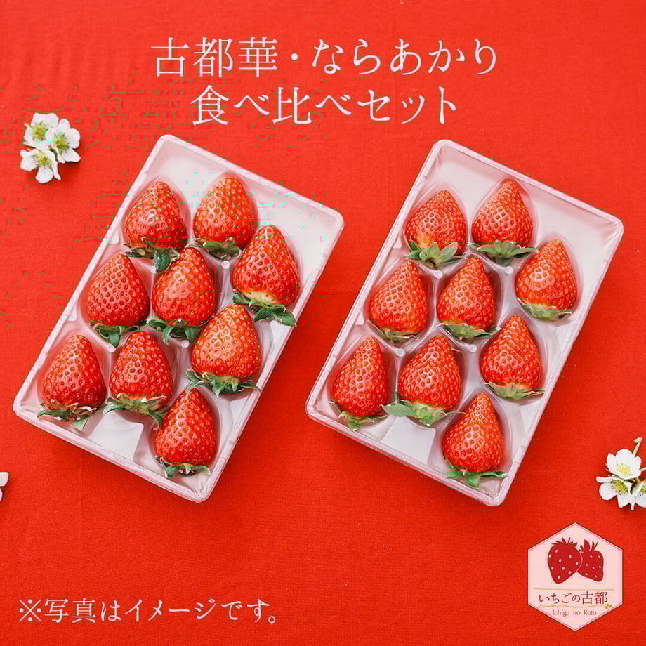 63ce4a49f1f39a79a8104e40