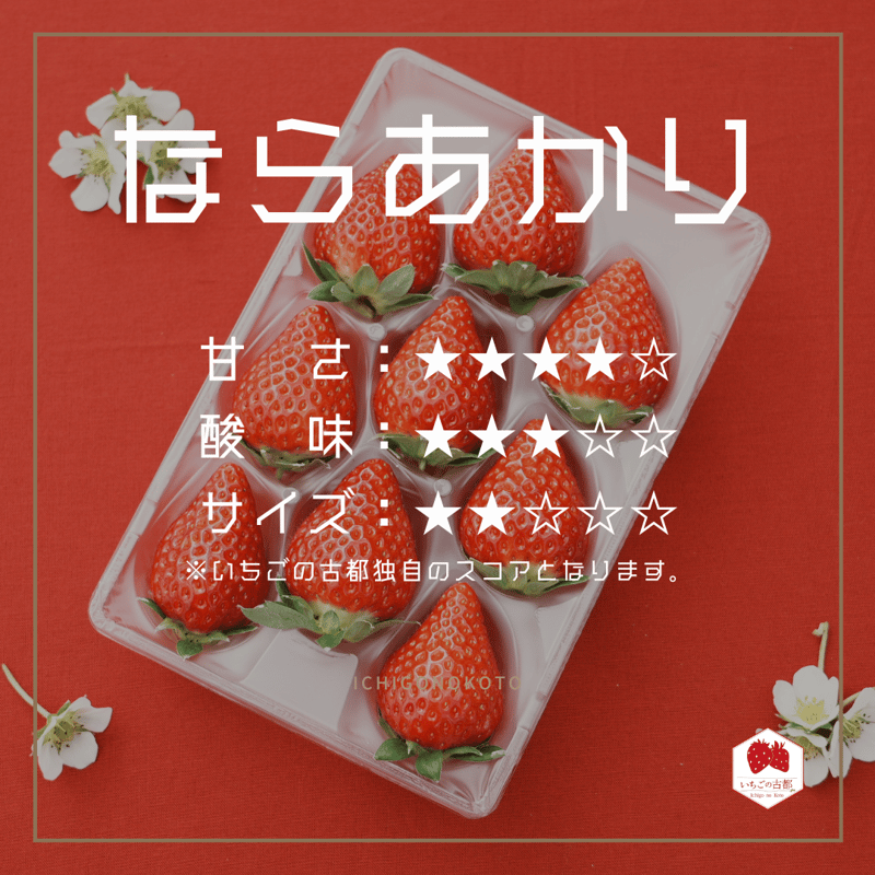 奈良県産いちごセット（古都華2パック・ならあかり1パック・奈乃華1