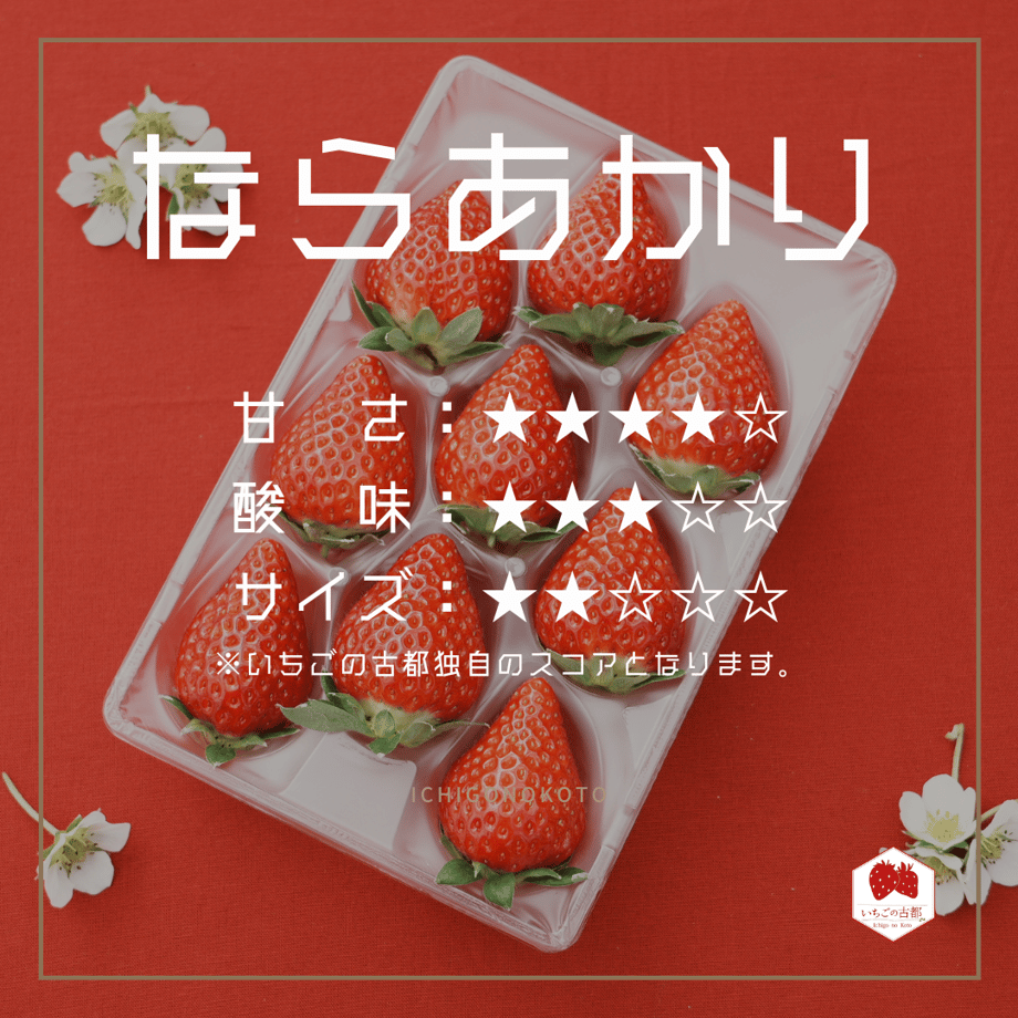 67d7ba7240aa62114a59552a