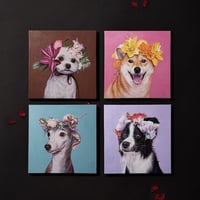 OHANA series