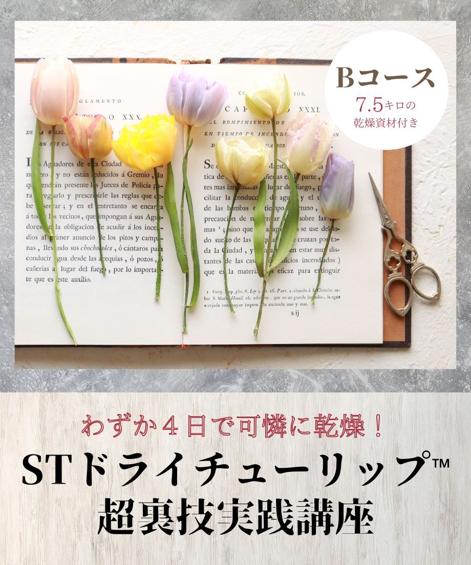 624ecd28c9883d06b1192155