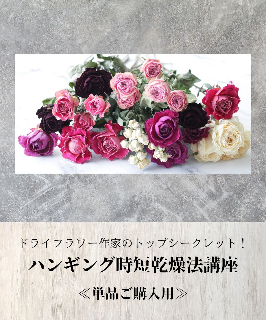 624feb519fe3d747791ca939