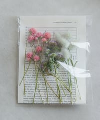自家製ドライフラワー小花セットver.03