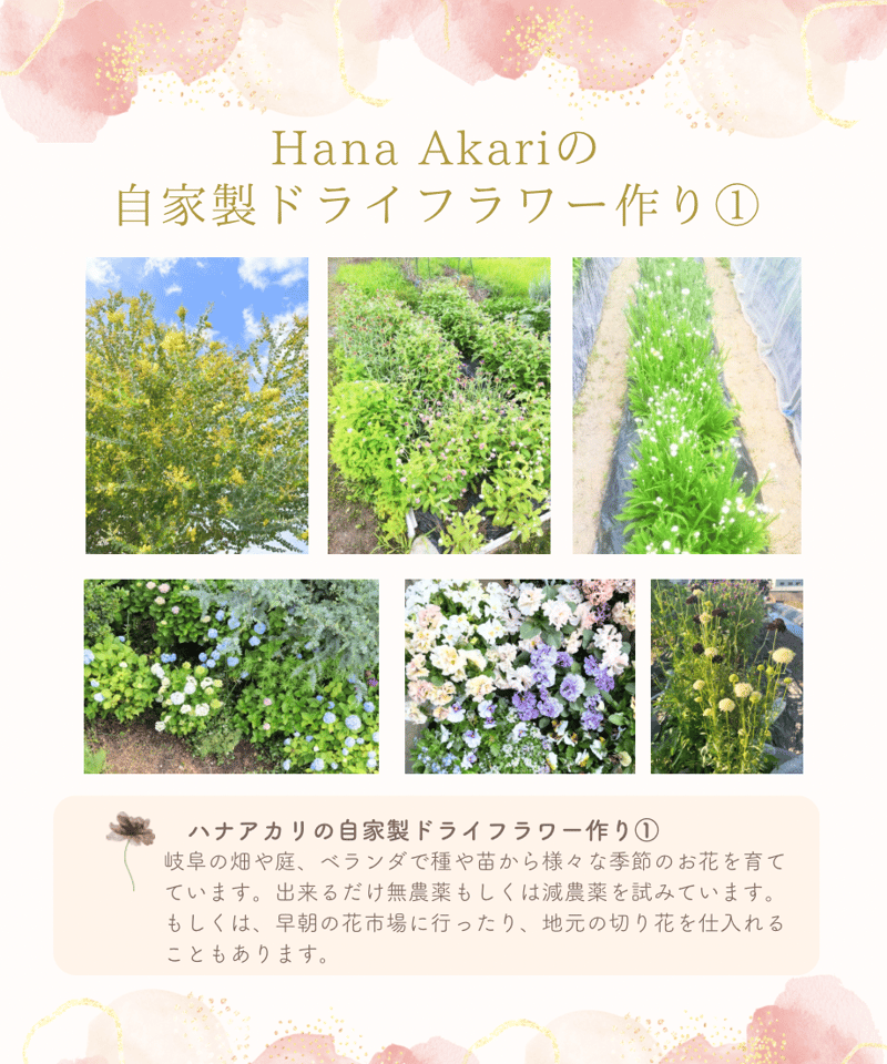 自家製ドライフラワーの春色リース/名入れタグ | Hana Akari