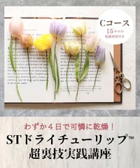 わずか４日で可憐に乾燥！STドライチューリップ™超裏技実践講座【Cコース】