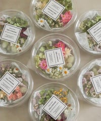 北海道産紫陽花と自家製ドライフラワーセット《小花セット》