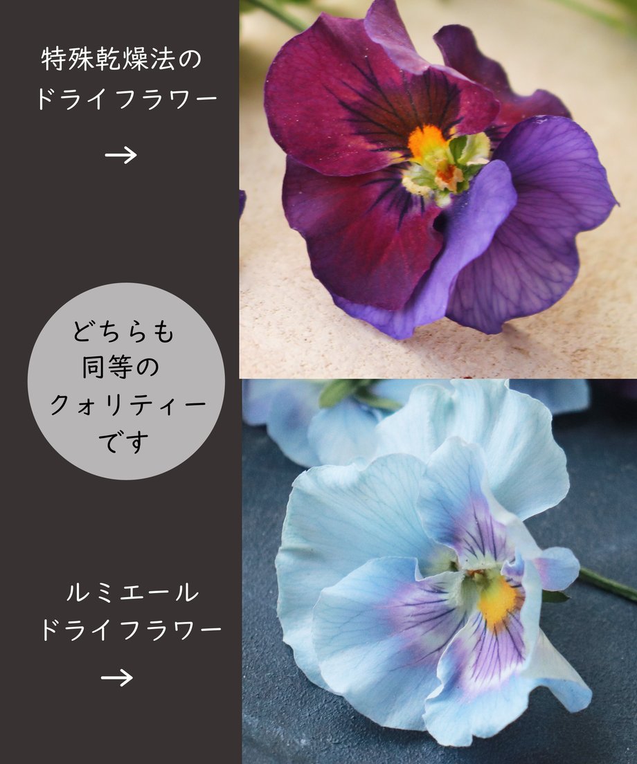 6006f0d87fafdb6c90508699