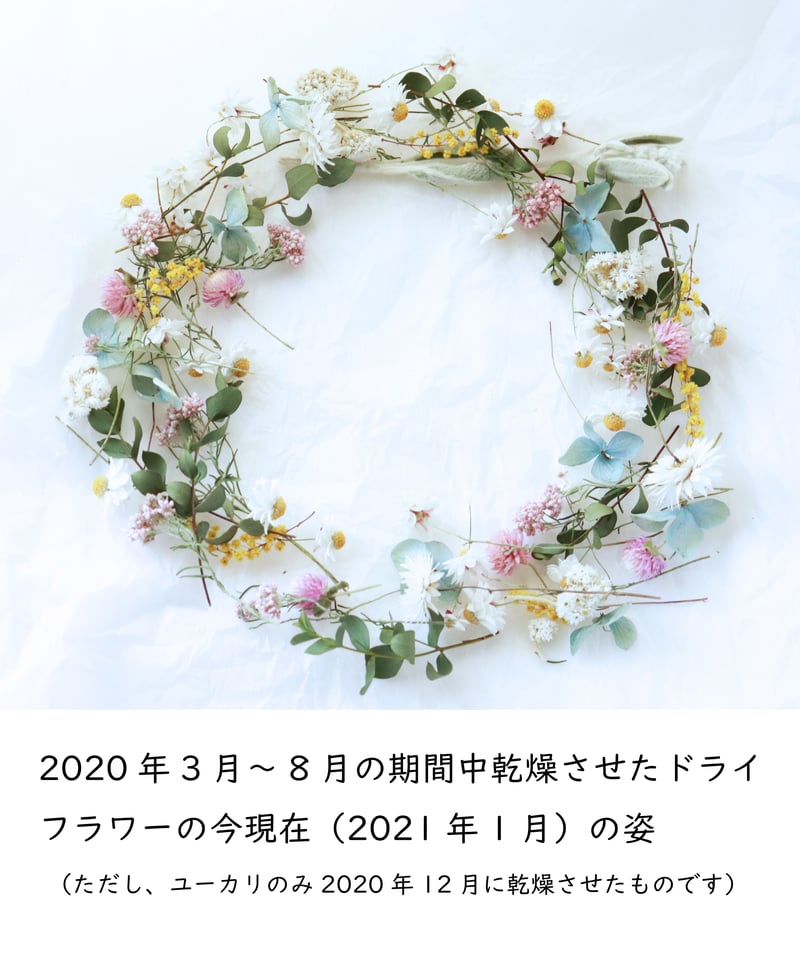 S様専用お買い物ページ】”超簡単な方法で一年中「綺麗」が続く秘密の