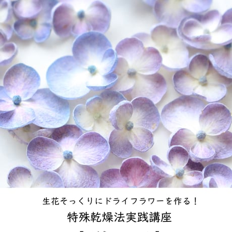 STORES ハーバリウムの検索結果