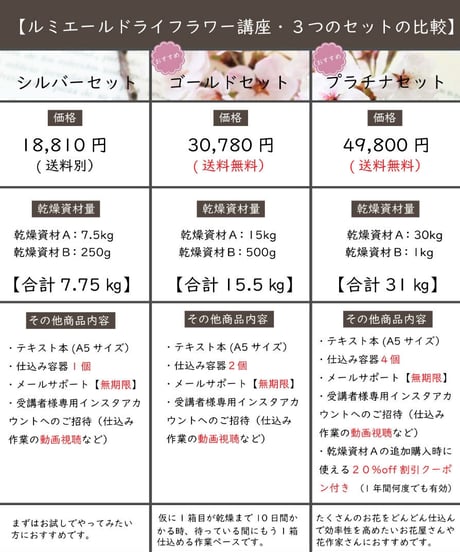 かんたん・綺麗・たくさん！生花そっくりに作る新しい乾燥法 ルミエールドライフラワー講座【シルバーセット】