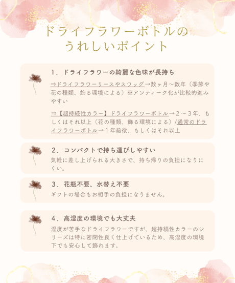 ≪超持続性カラー≫自家製ドライフラワーボトル/ジニア&ラナンキュラス