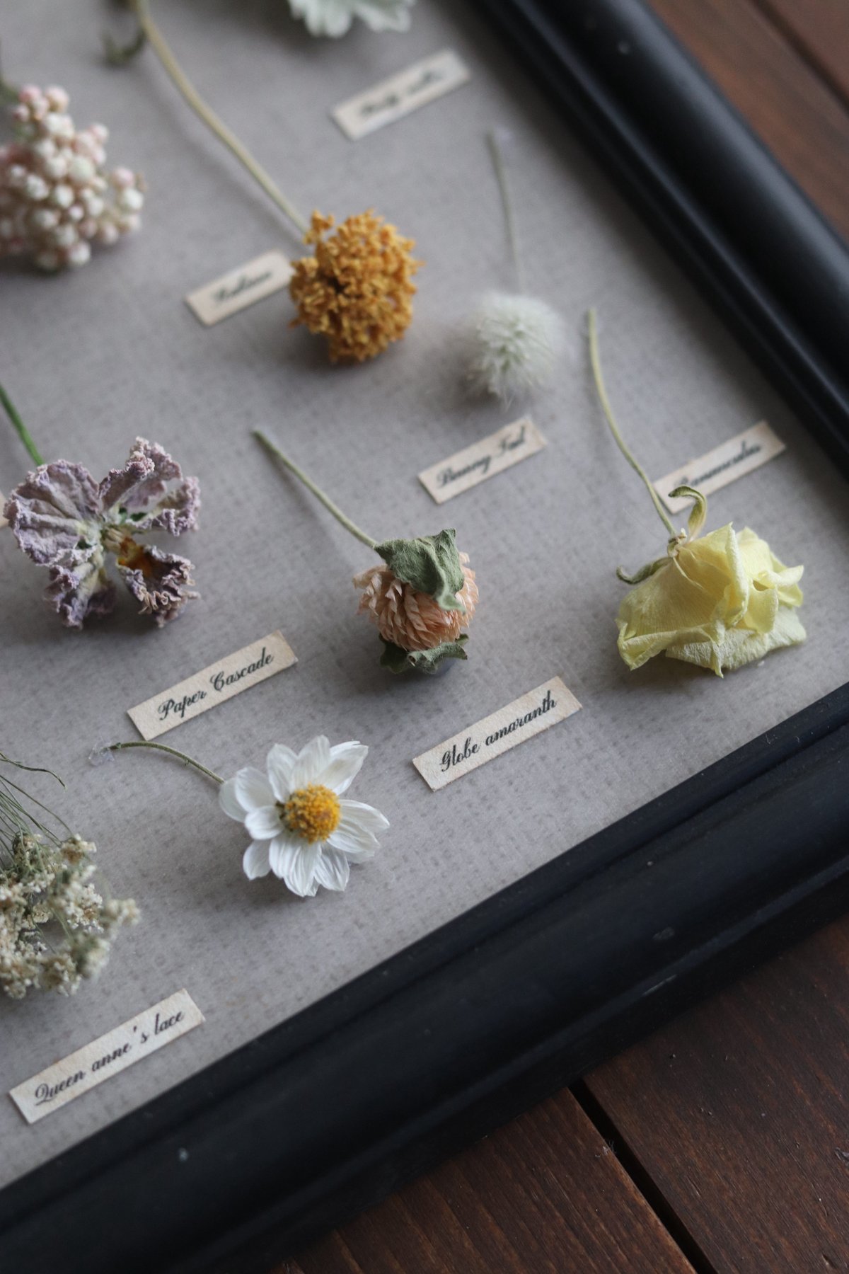 アンティーク調植物標本フレーム/春の野花 | Hana Akari