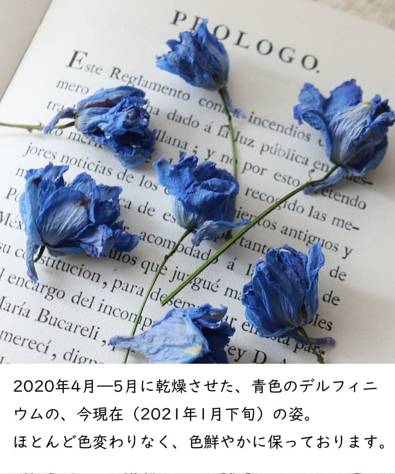 S様専用お買い物ページ】”超簡単な方法で一年中「綺麗」が続く秘密の