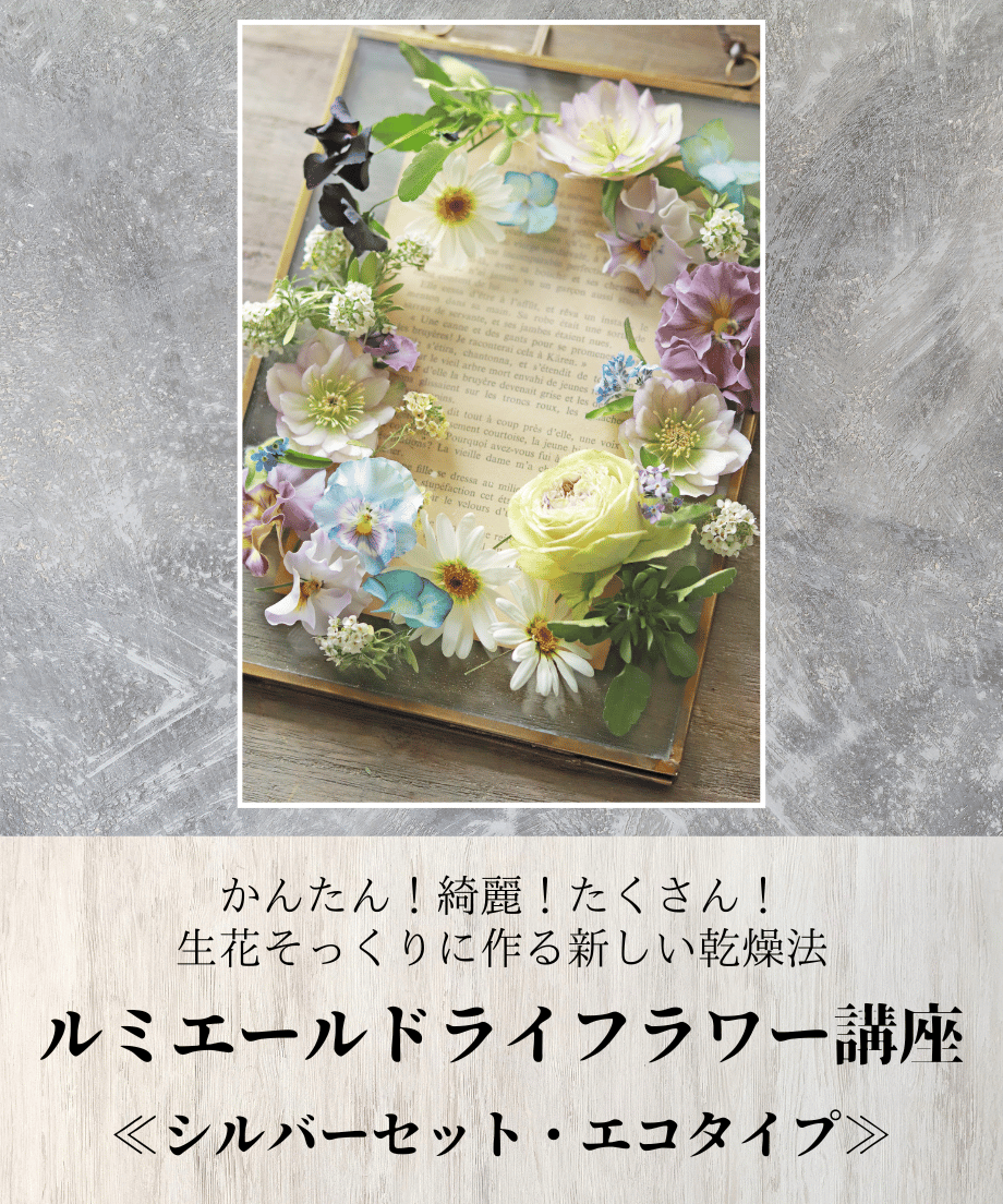 【kazu様おまとめ】ドライフラワー kazu様おまとめ】ドライフラワー 【公式通販】