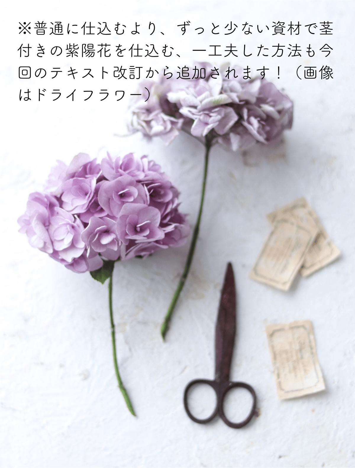 ドライフラワー●ニュードライフラワーアーティスト養成講座テキストセット 生花を超えた魔法の花色 世界で一番美しいドライフラワー | ドライ