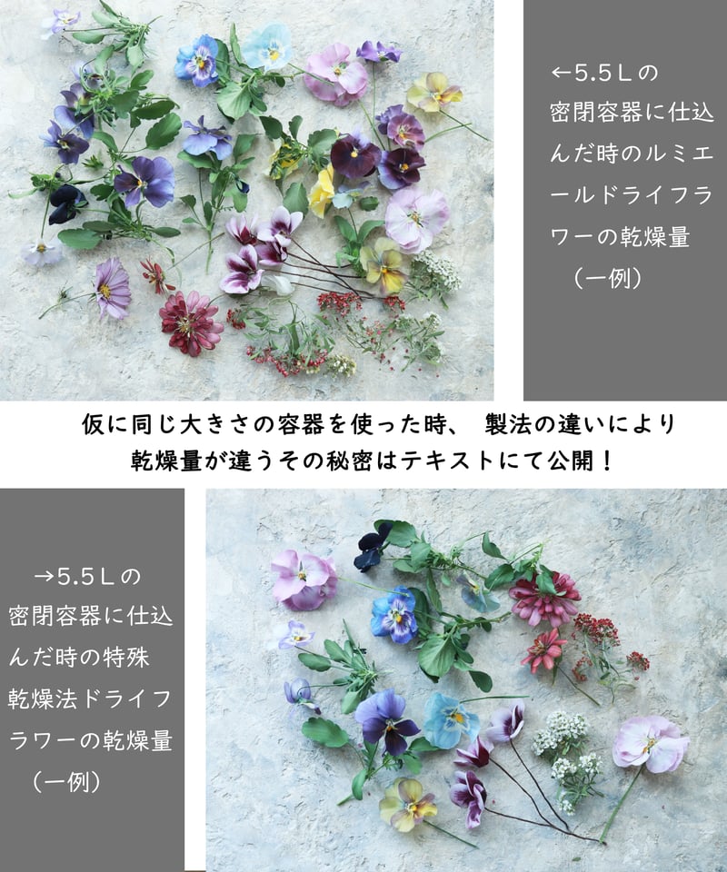 ドライフラワー●ニュードライフラワーアーティスト養成講座テキストセット ドライフラワー○ニュードライフラワーアーティスト養成講座テキスト