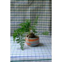 Yoshinori Takemura plant pot