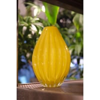 テラコッタベース 水瓶 | SAI botanical works