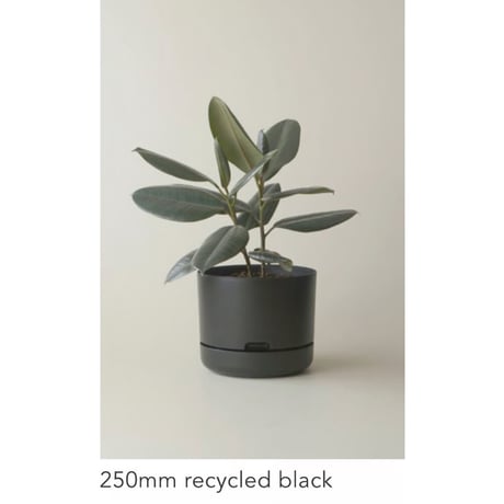 【250mm】KITLY Selfwatering Plant Pots