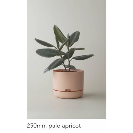 【250mm】KITLY Selfwatering Plant Pots