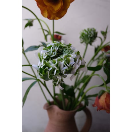 💐お花の定期便