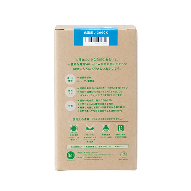 育てるあかり | SAI botanical works