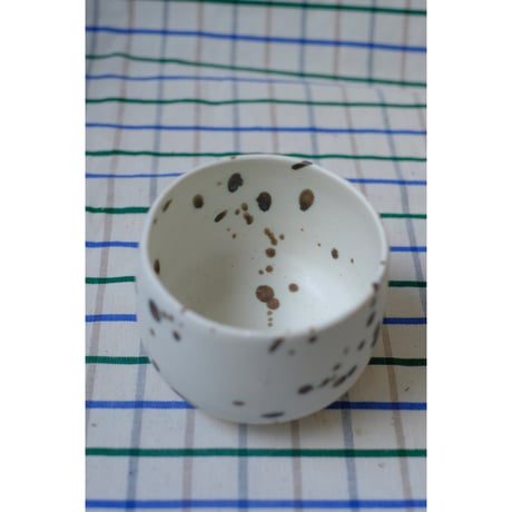 Yoshinori Takemura cup