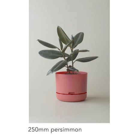 【250mm】KITLY Selfwatering Plant Pots